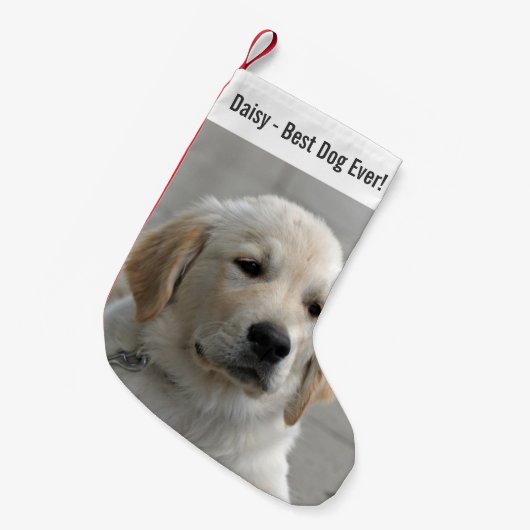 Personalisiertes Golden Retriever Hund Foto und Na Kleiner Weihnachtsstrumpf (Vorderansicht (hängend))