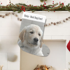 Personalisiertes Golden Retriever Hund Foto und Na Kleiner Weihnachtsstrumpf