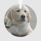 Personalisiertes Golden Retriever Hund Foto und Na Ornament (Rückseite)