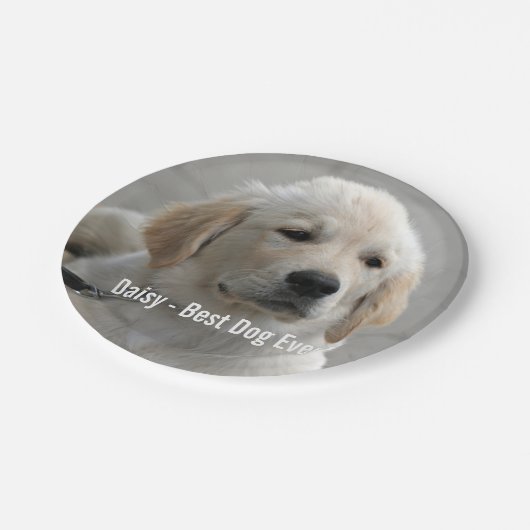 Personalisiertes Golden Retriever Hund Foto und Na Pappteller (Schrägansicht)