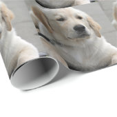 Personalisiertes goldener Retriever-HundeFoto und Geschenkpapier (Rolleneckpunkt)