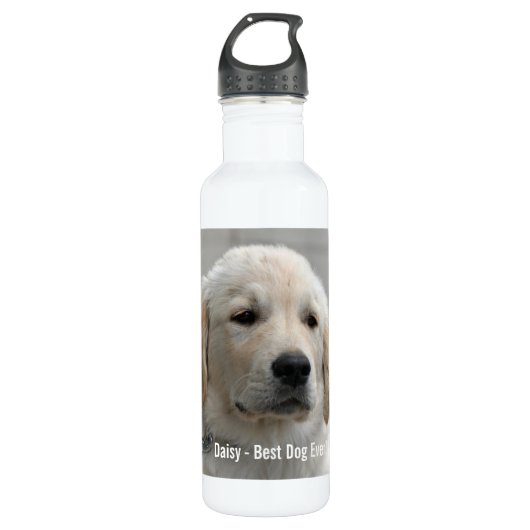 Personalisiertes goldener Retriever-HundeFoto und Trinkflasche (Vorderseite)