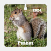 Personalisiertes graues Eichhörnchen Ornament Aus Metall (Vorderseite)