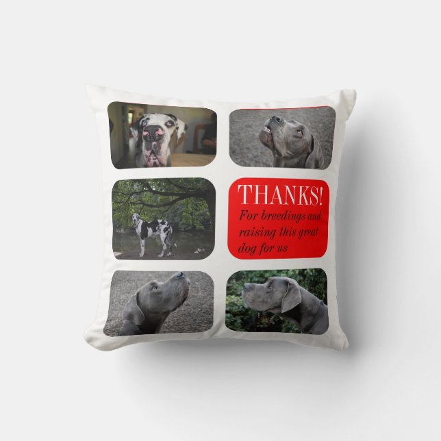 Personalisiertes Großes Dane-Geschenk Kissen (Vorderseite)