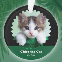 Personalisiertes grünes und schwarzes Foto von Kat