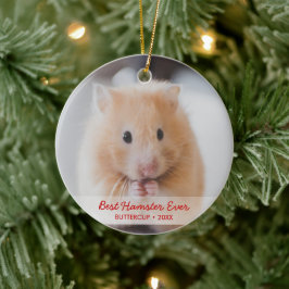 Personalisiertes Hamster Foto für Haustiere und Na Keramik Ornament