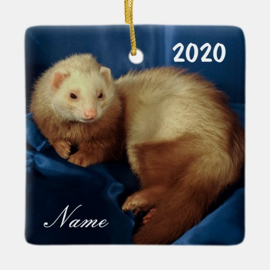 Personalisiertes Haustier Ferret Keramikornament (Vorderseite)