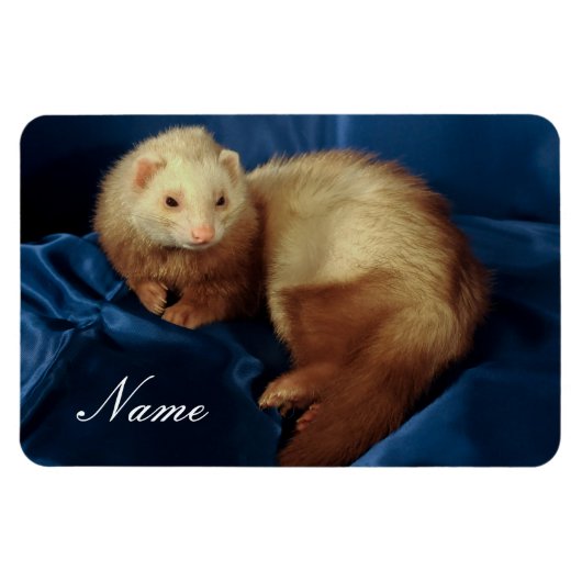 Personalisiertes Haustier Ferret Magnet (Horizontal)
