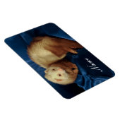 Personalisiertes Haustier Ferret Magnet (Rechte Seite)