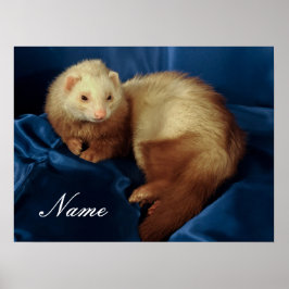 Personalisiertes Haustier Ferret Poster