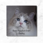 Personalisiertes Haustier Foto Best Ragdoll Katze  Puzzle<br><div class="desc">Dieses Design zeichnet sich durch ein wunderschönes, blau-mit Augen Ragdoll Katzenjacke-Foto und eine schwarze Typografie aus. Sie können das Foto durch ein Bild Ihrer eigenen Katze oder eines Kätzchens ersetzen. Der Beispieltext - Best Ragdoll Ever - kann nach eigenem Ermessen mit Wörtern bearbeitet werden, und es kann auch ein Name...</div>