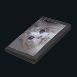 Personalisiertes Haustier Foto Beste Ragdoll Katze Tri-fold Geldbeutel<br><div class="desc">Dieses Design zeichnet sich durch ein wunderschönes, blau-mit Augen Ragdoll Katzenjacke-Foto und eine schwarze Typografie aus. Sie können das Foto durch ein Bild Ihrer eigenen Katze oder eines Kätzchens ersetzen. Der Beispieltext - Best Ragdoll Ever - kann nach eigenem Ermessen mit Wörtern bearbeitet werden, und es kann auch ein Name...</div>