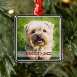 Personalisiertes Haustier Foto Niedlich Weihnachts Silbernes Ornament