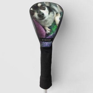 Personalisiertes Haustier-Foto und -name Golf Headcover