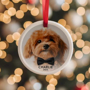 Personalisiertes Haustier Foto Weihnachtsschmuck A