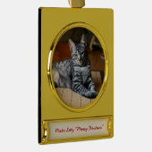 Personalisiertes Haustier Foto Weihnachtsschmuck Banner-Ornament Gold (Rechts)