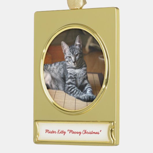 Personalisiertes Haustier Foto Weihnachtsschmuck Banner-Ornament Gold (Links)