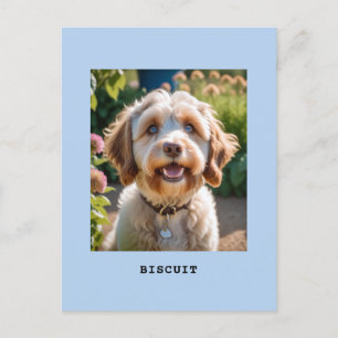 Personalisiertes Haustier Hund Katze Foto Name Hel Postkarte