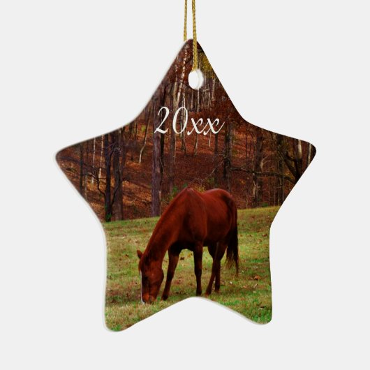 Personalisiertes Haustier oder Pferd Foto Weihnach Keramik Ornament (Rechts)