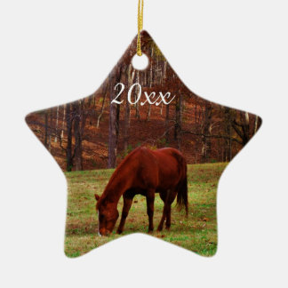 Personalisiertes Haustier oder Pferd Foto Weihnach Keramik Ornament
