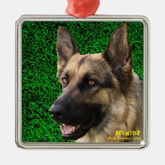 Personalisiertes Haustier-Ornament, Haustier-Foto Ornament Aus Metall (Vorne)