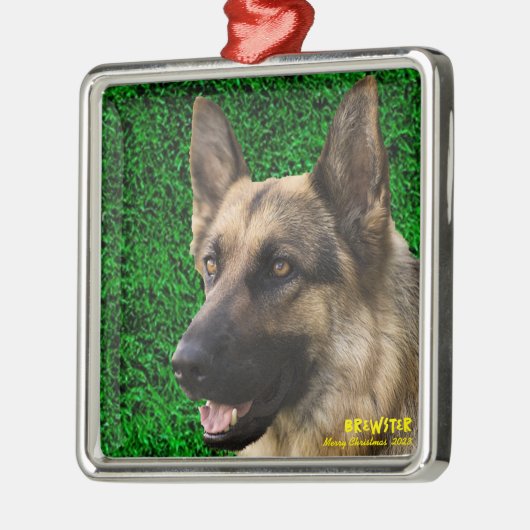 Personalisiertes Haustier-Ornament, Haustier-Foto Ornament Aus Metall (Links)