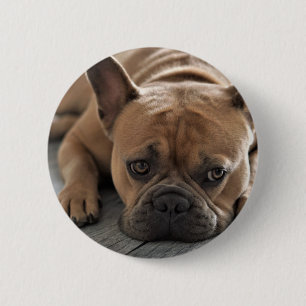 Personalisiertes Hunde-Foto Button