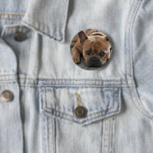 Personalisiertes Hunde-Foto Button (Beispiel)