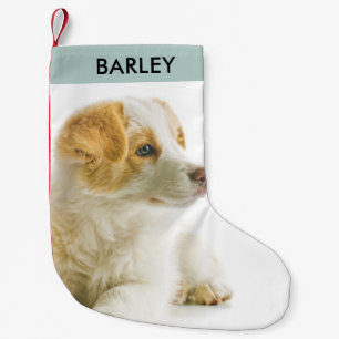 Personalisiertes Hunde-Foto-Festtags-Weihnachten S Kleiner Weihnachtsstrumpf