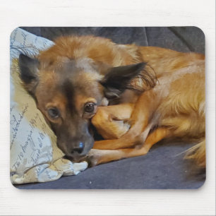 Personalisiertes Hunde-Foto Mousepad