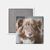 Personalisiertes Hunde-Foto und Name-Magnet Magnet (Vorderseite/Rückseite)