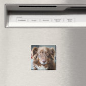 Personalisiertes Hunde-Foto und Name-Magnet Magnet (In Situ (Geschirrspüler))