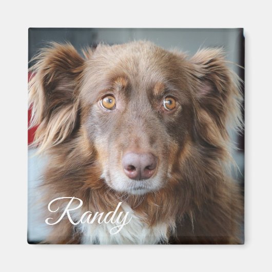 Personalisiertes Hunde-Foto und Name-Magnet Magnet (Vorne)