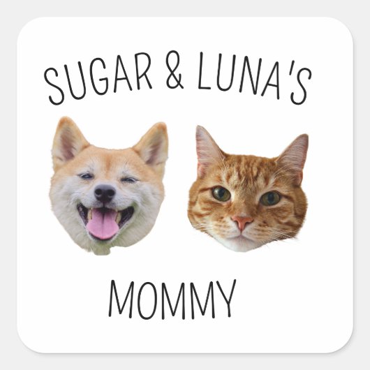Personalisiertes Hunde-Katze-Foto, Niedliches Gesc Quadratischer Aufkleber (Vorderseite)