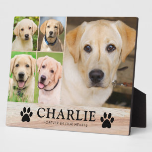 Personalisiertes Hunde-Memorial-Foto-Andenken Fotoplatte
