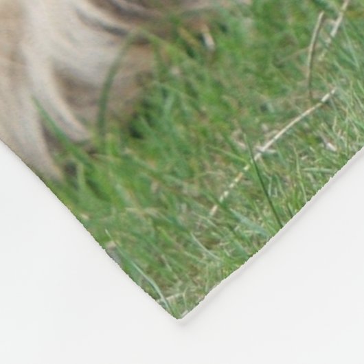 Personalisiertes Hundebüt-Foto Fleecedecke (Ecke)