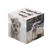 Personalisiertes Hundedenkmal Würfel (Rückseite Schrägansicht)