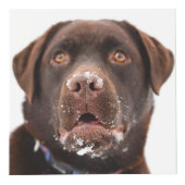 Personalisiertes Hundedenkmal Würfel (Rechts)