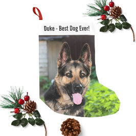 Personalisiertes Hundehund-Foto, Hundename Kleiner Weihnachtsstrumpf