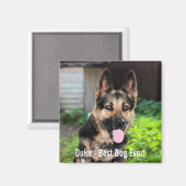 Personalisiertes Hundehund-Foto, Hundename Magnet (Vorderseite/Rückseite)