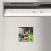 Personalisiertes Hundehund-Foto, Hundename Magnet (In Situ (Geschirrspüler))