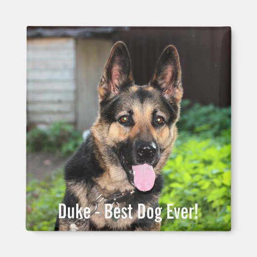 Personalisiertes Hundehund-Foto, Hundename Magnet (Vorne)