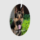 Personalisiertes Hundehund-Foto, Hundename Ornament (Vorderseite)