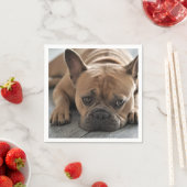 Personalisiertes Hundeschlitten-Foto Serviette (Beispiel)