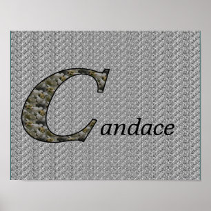 Personalisiertes Hydrangea-Monogramm Anfangsbuchst Poster