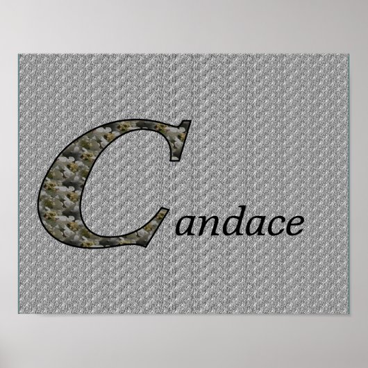 Personalisiertes Hydrangea-Monogramm Anfangsbuchst Poster (Vorne)