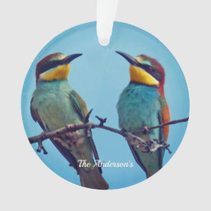 Personalisiertes individuelles farbenfrohes Vögel- Ornament