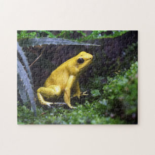 Personalisiertes individuelles Foto-Puzzle Puzzle