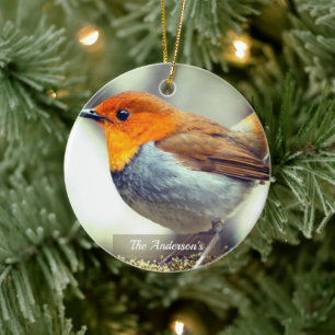 Personalisiertes individuelles Robin-Vogel-Foto Keramik Ornament