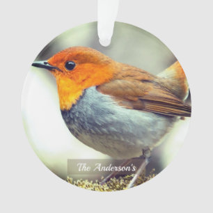 Personalisiertes individuelles Rotkehlchen-Foto Ornament